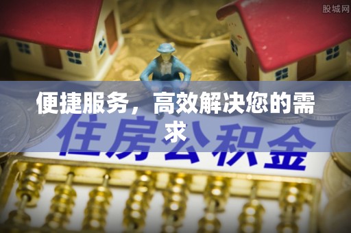 九龙便捷服务，高效解决您的需求