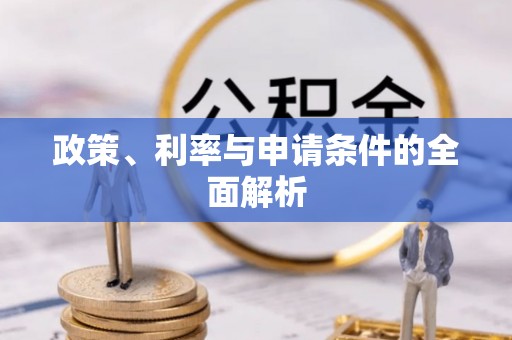 九龙政策、利率与申请条件的全面解析
