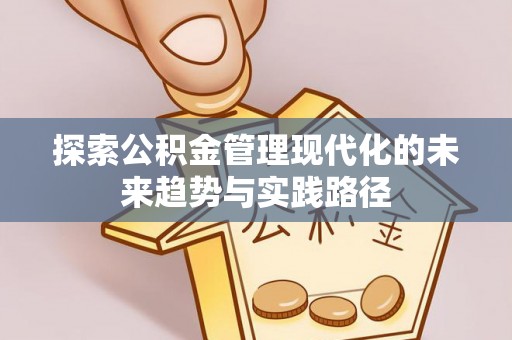 九龙探索公积金管理现代化的未来趋势与实践路径
