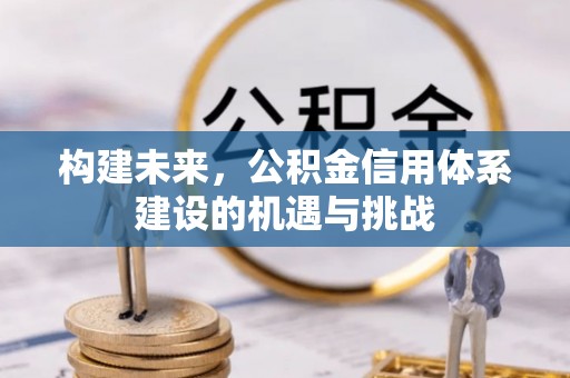 九龙构建未来，公积金信用体系建设的机遇与挑战