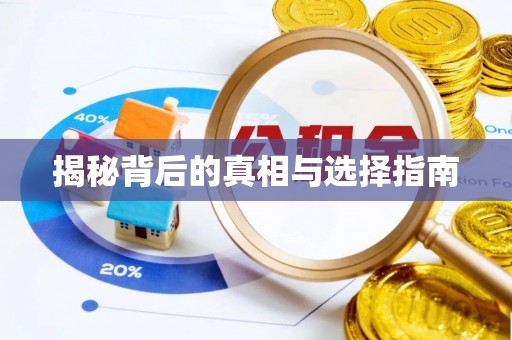 九龙揭秘背后的真相与选择指南