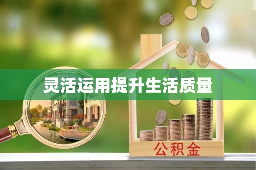 九龙灵活运用提升生活质量