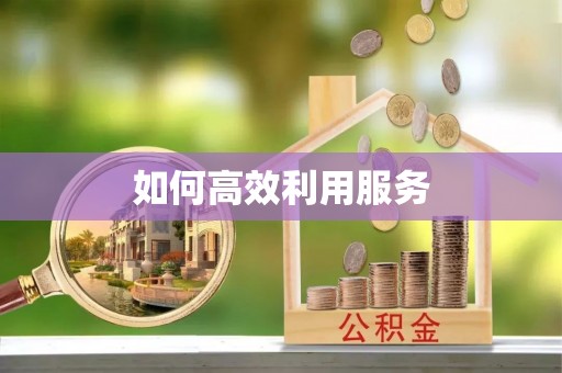 九龙如何高效利用服务