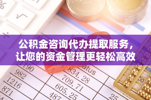 九龙公积金咨询代办提取服务，让您的资金管理更轻松高效