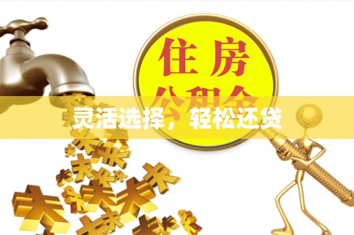 九龙灵活选择，轻松还贷