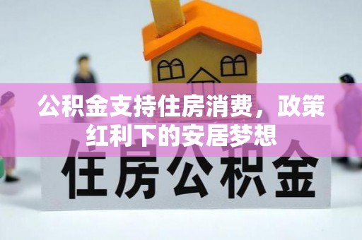 九龙公积金支持住房消费，政策红利下的安居梦想