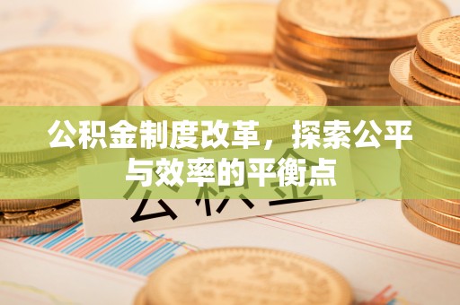 九龙公积金制度改革，探索公平与效率的平衡点