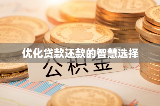 九龙优化贷款还款的智慧选择