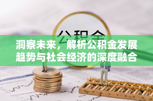 九龙洞察未来，解析公积金发展趋势与社会经济的深度融合