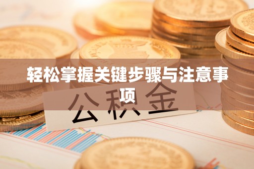 九龙轻松掌握关键步骤与注意事项
