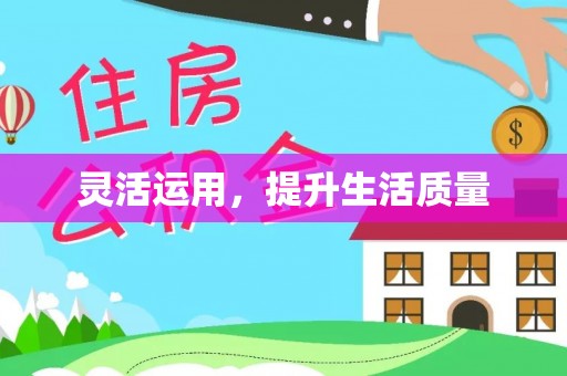 九龙灵活运用，提升生活质量