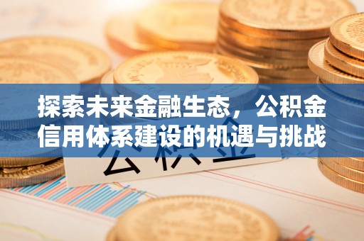 九龙探索未来金融生态，公积金信用体系建设的机遇与挑战