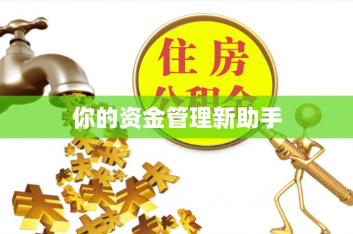 九龙你的资金管理新助手
