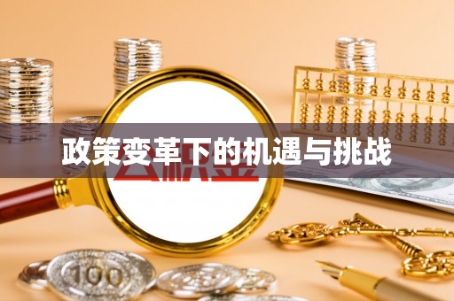 九龙政策变革下的机遇与挑战