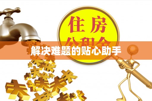 九龙解决难题的贴心助手