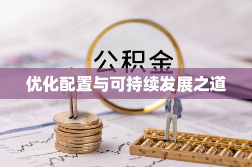 九龙优化配置与可持续发展之道