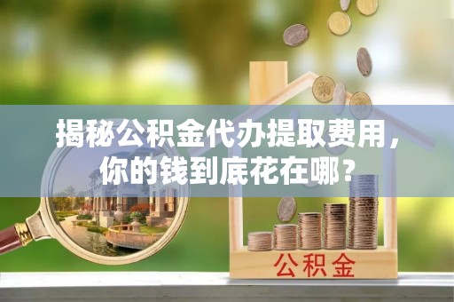 九龙揭秘公积金代办提取费用，你的钱到底花在哪？