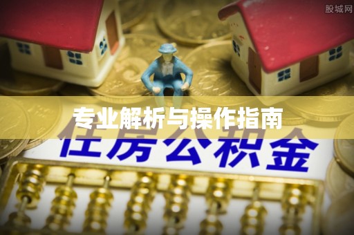 九龙专业解析与操作指南