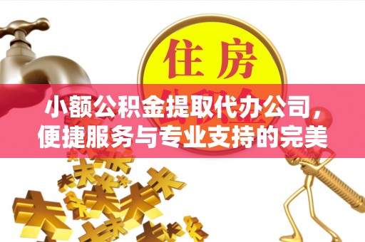 九龙小额公积金提取代办公司，便捷服务与专业支持的完美结合