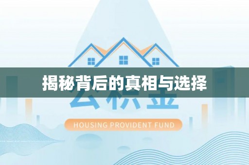 九龙揭秘背后的真相与选择