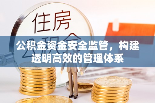九龙公积金资金安全监管，构建透明高效的管理体系