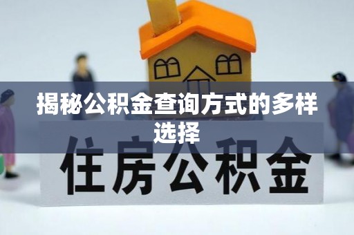 九龙揭秘公积金查询方式的多样选择