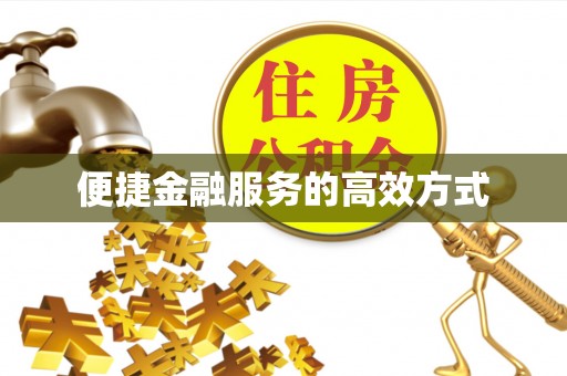 九龙便捷金融服务的高效方式