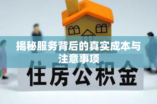 九龙揭秘服务背后的真实成本与注意事项