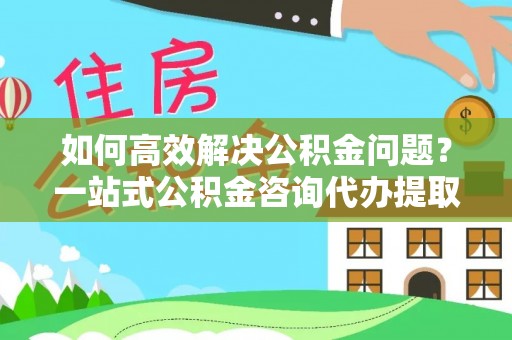 九龙如何高效解决公积金问题？一站式公积金咨询代办提取服务全解析