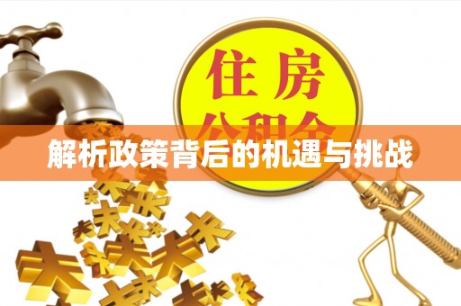 九龙解析政策背后的机遇与挑战