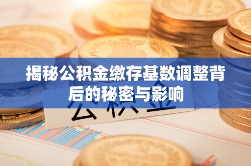 九龙揭秘公积金缴存基数调整背后的秘密与影响