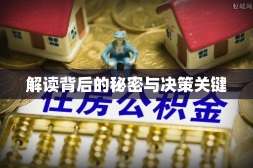 九龙解读背后的秘密与决策关键