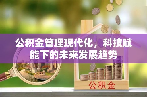九龙公积金管理现代化，科技赋能下的未来发展趋势