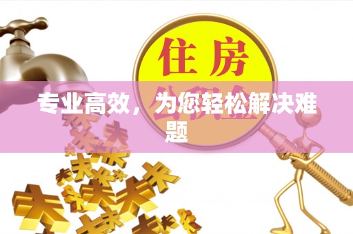 九龙专业高效，为您轻松解决难题