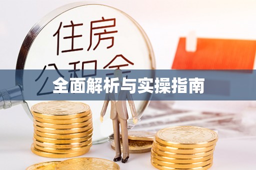 九龙全面解析与实操指南