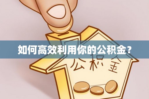 九龙如何高效利用你的公积金？
