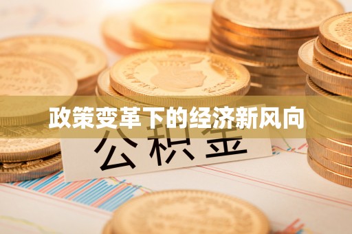 九龙政策变革下的经济新风向