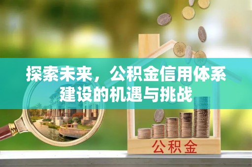 九龙探索未来，公积金信用体系建设的机遇与挑战