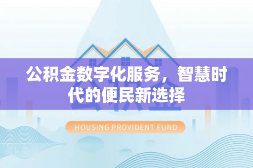 九龙公积金数字化服务，智慧时代的便民新选择