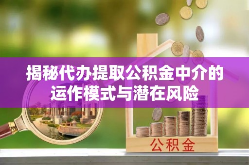 九龙揭秘代办提取公积金中介的运作模式与潜在风险