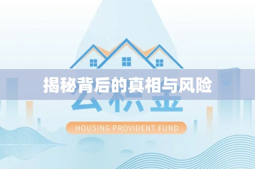 九龙揭秘背后的真相与风险