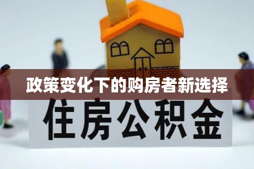 九龙政策变化下的购房者新选择