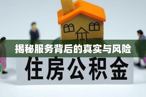 九龙揭秘服务背后的真实与风险