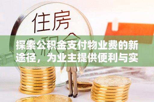 九龙探索公积金支付物业费的新途径，为业主提供便利与实惠