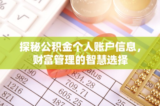 九龙探秘公积金个人账户信息，财富管理的智慧选择