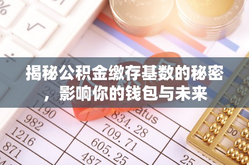 九龙揭秘公积金缴存基数的秘密，影响你的钱包与未来