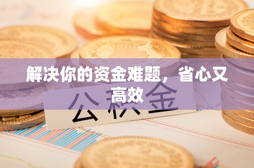 九龙解决你的资金难题，省心又高效