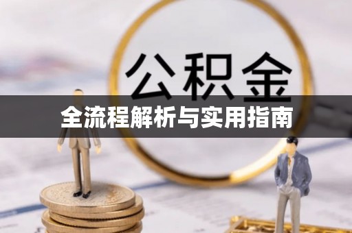 九龙全流程解析与实用指南