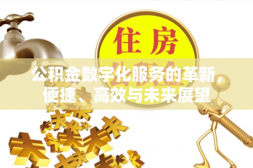 九龙公积金数字化服务的革新，便捷、高效与未来展望