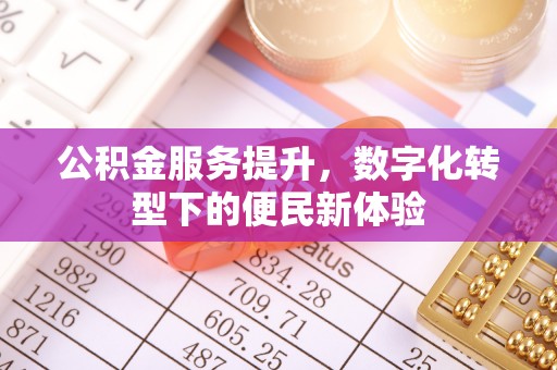 九龙公积金服务提升，数字化转型下的便民新体验